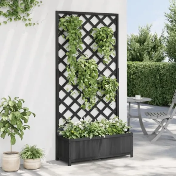 vidaXL Odlingslåda med spaljé svart massivt granträ - Krukor & odlingslådor