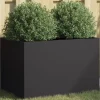 vidaXL Odlingslåda svart 62x40x39 cm kallvalsat stål - Krukor & odlingslådor