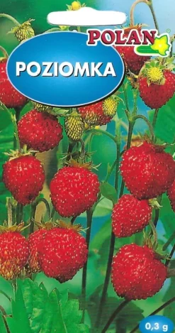 Vild jordgubb Rujana 0,3 g frön Polen