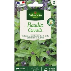 VILMORIN Basilikakanel