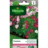VILMORIN Cosmos Sensation dvärg varierad