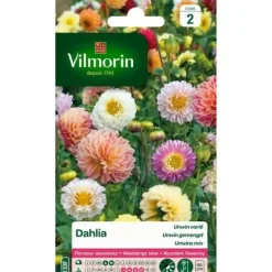 VILMORIN Dahlia Unwin varierad
