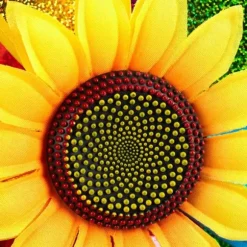 Vindsnurra, 74,5x37,5x14 cm, Flerfärgad