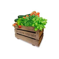 Vintage Eco Agreen Fruktlåda