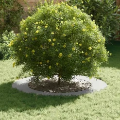 Vita Golvplanter - Hopfällbar Rund Plast för Inomhus & Utomhus | Färg: Vit | Storlek: Stor