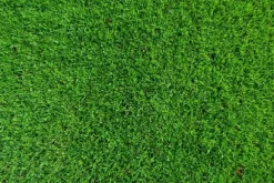 Vårgödsel för regenerering, flerkomponent, Emerald Complex Premium, 8 kg