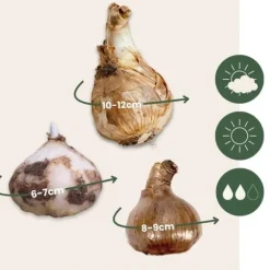 Våt trädgårdslåda - 30 blomsterlökar för fuktiga och regniga platser