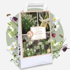 Våt trädgårdslåda - 30 blomsterlökar för fuktiga och regniga platser