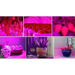 Växtbelysning 225 LED Panel | Odlingslampa för Optimal Växtutveckling