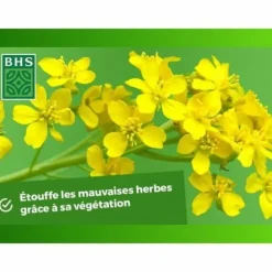 Växtgödsel BHS 500 g