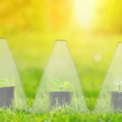 Växthatt 24 stycken