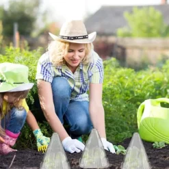 Växthatt 24 stycken