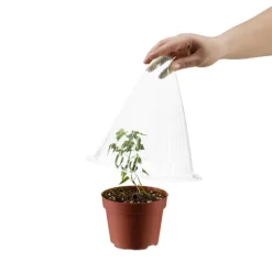 Växthatt 24 stycken