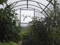 Växthus Baumera Klasika 3x4m med 4 mm polykarbonatbeläggning