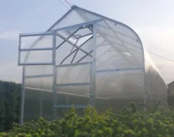 Växthus Baumera STANDART 15 - 2,5x6m med 4 mm polykarbonatbeläggning