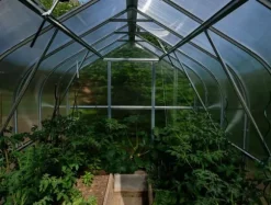 Växthus Baumera STANDART 20 - 2,5x8m med 6 mm polykarbonatbeläggning