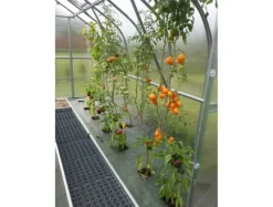 Växthus Baumera STANDART 10 - 2,5x4m med 6 mm polykarbonatbeläggning