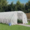 Växthus med stålram vit 72 m² 24x3x2 m