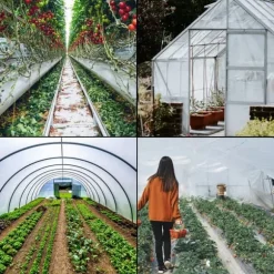 Växthusfilm 10x25 fot, polyetenfilm 6 Mil, UV-beständig, håller värmen, överlägsen hållfasthet.