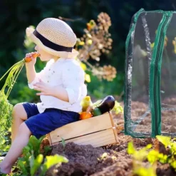 Växthustält, 50x130x60 cm, Transparent