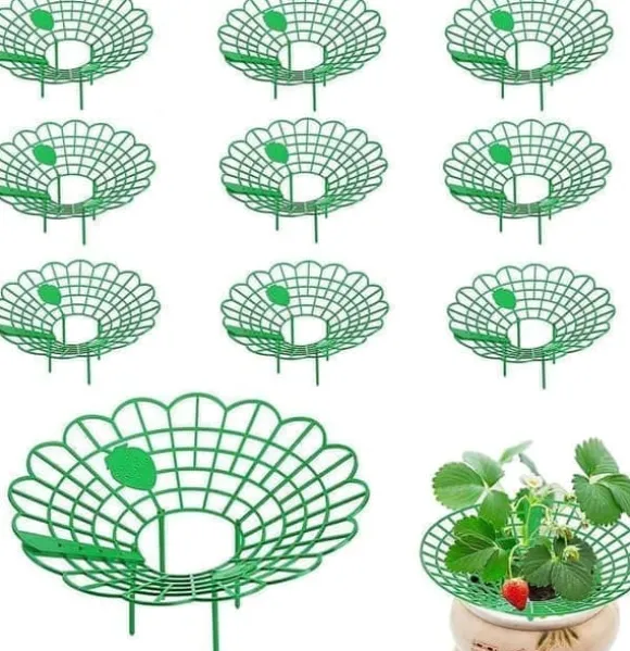 Växtstöd för jordgubbar, grönsaker och andra växter - Jordgubbshållare 10-pack