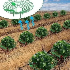 Växtstöd för jordgubbar, grönsaker och andra växter - Jordgubbshållare 10-pack