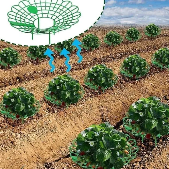 Växtstöd för jordgubbar, grönsaker och andra växter - Jordgubbshållare 10-pack