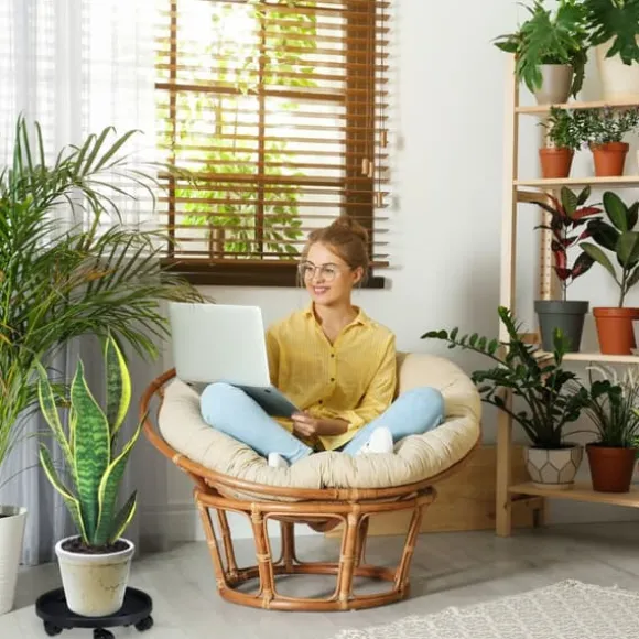 Växtunderlägg set, 10x35,5 cm, Svart