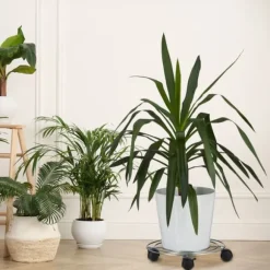 Växtvagn Set, 6x32 cm, Silver, Svart