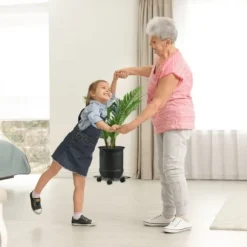 Växtvagn Set, 5.5x28x28 cm, Svart, Stål