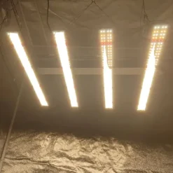 240W Full Spectrum Växtbelysning, Utökat Täckningsområde, Energisnål,240W