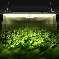 200W kvantbräda LED odlingsväxtljus, fullspektrum, låg energiförbrukning/värme/ljud, för alla tillväxtstadier, enkel installation/justering