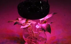 135W LED-växtlampa, optimerad våglängd, 8800lm, komplett kit