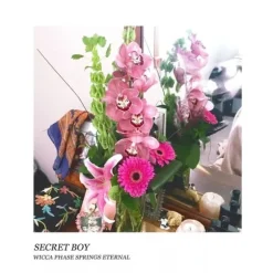 Wicca Phase Springs Eternal Secret Boy (Doublemint (Vinyl) New