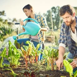 Yara Mila Hydrokomplexgödsel för gräs Ampol 5kg